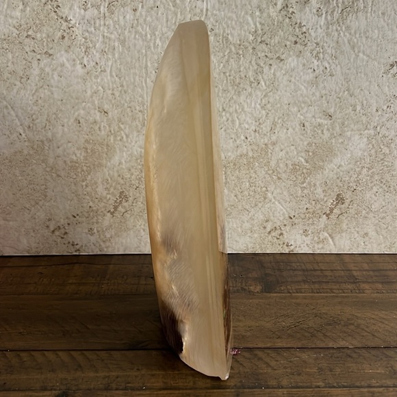 Acrylic nature art scene by Robert & Christull Sheath 1978 - Picture 4 of 11